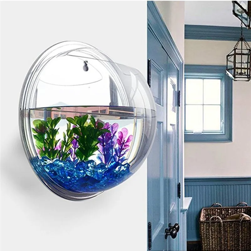 Home Office Layout - Transparent acrylic hanging wall aquarium, Plant