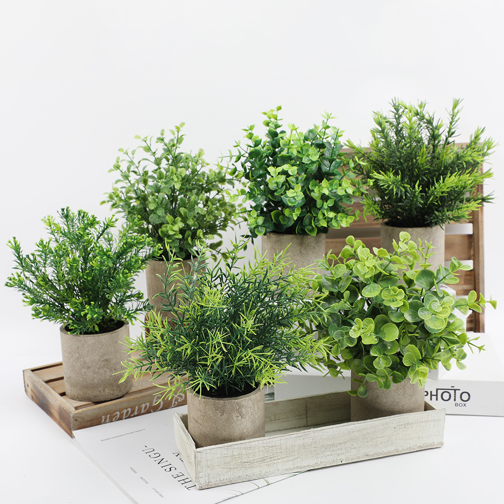 Artificial Plant Potted Eucaly - Home Office Layout 评论和价格